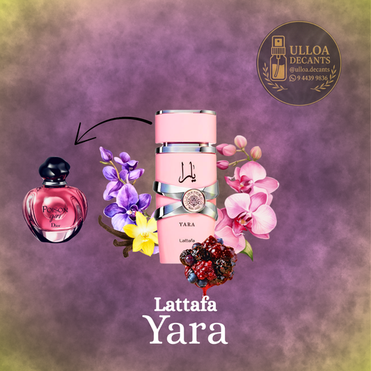 Yara - Decant