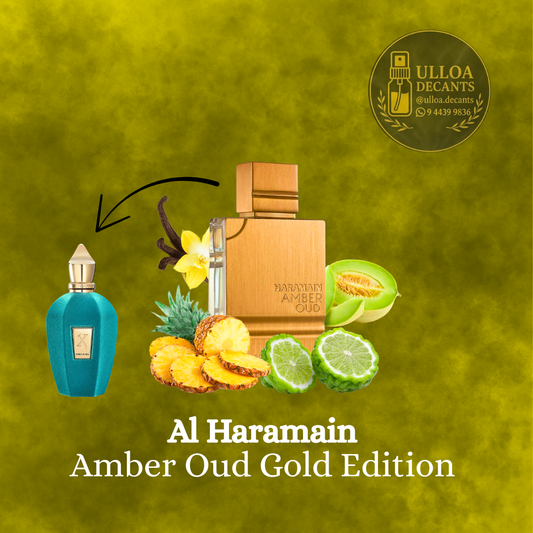 Amber Oud Gold Edition - Decant