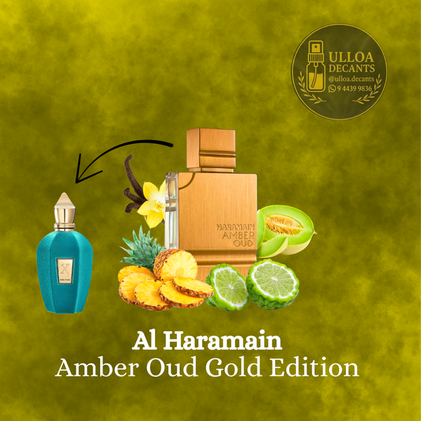 Amber Oud Gold Edition - Decant