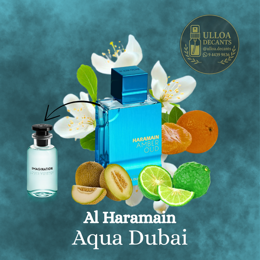 Amber Oud Aqua Dubai - Decant